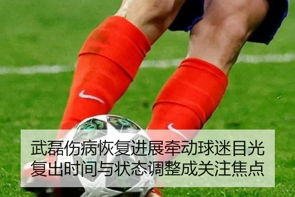 武磊伤病恢复进展牵动球迷目光 复出时间与状态调整成关注焦点